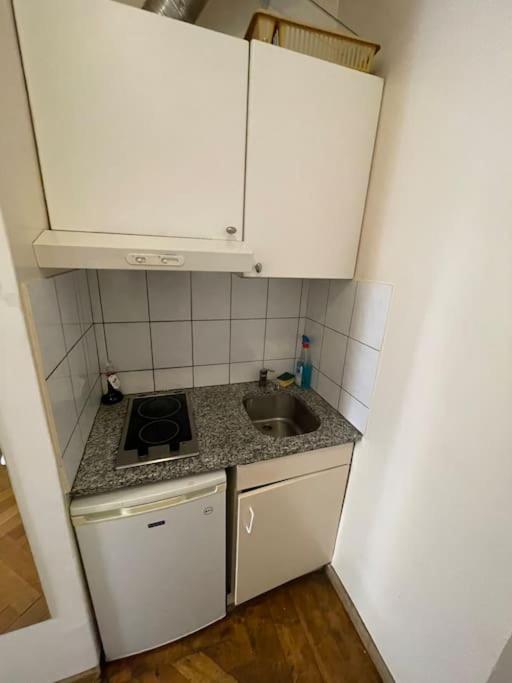 Appartement Au Coeur De Genève